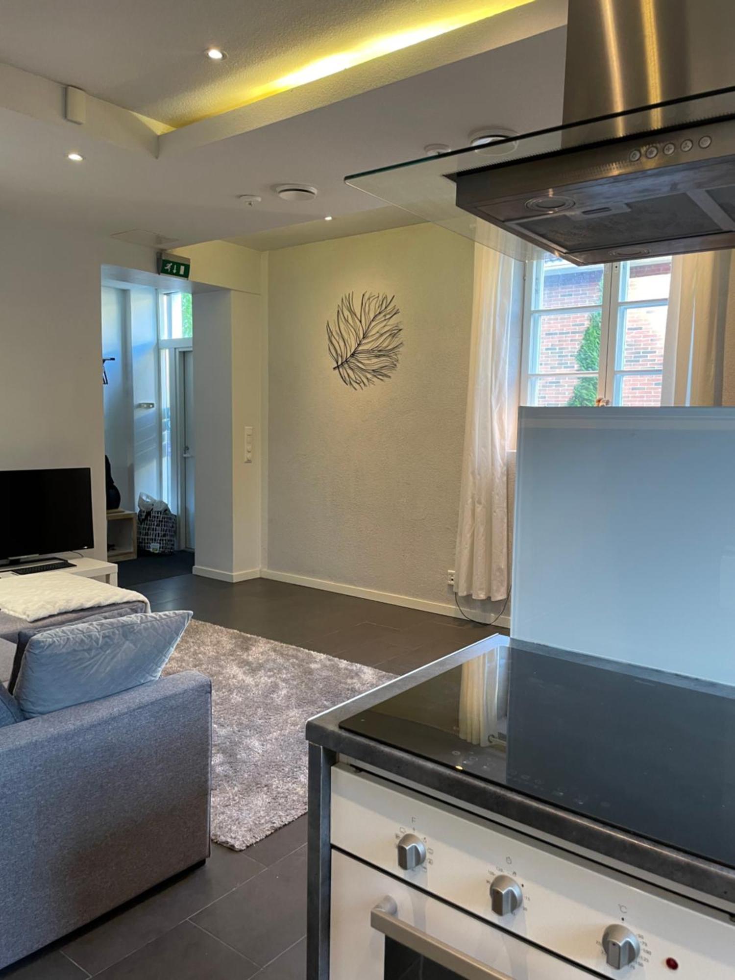 Saeynaetsalo Apartment Saynatsalo エクステリア 写真
