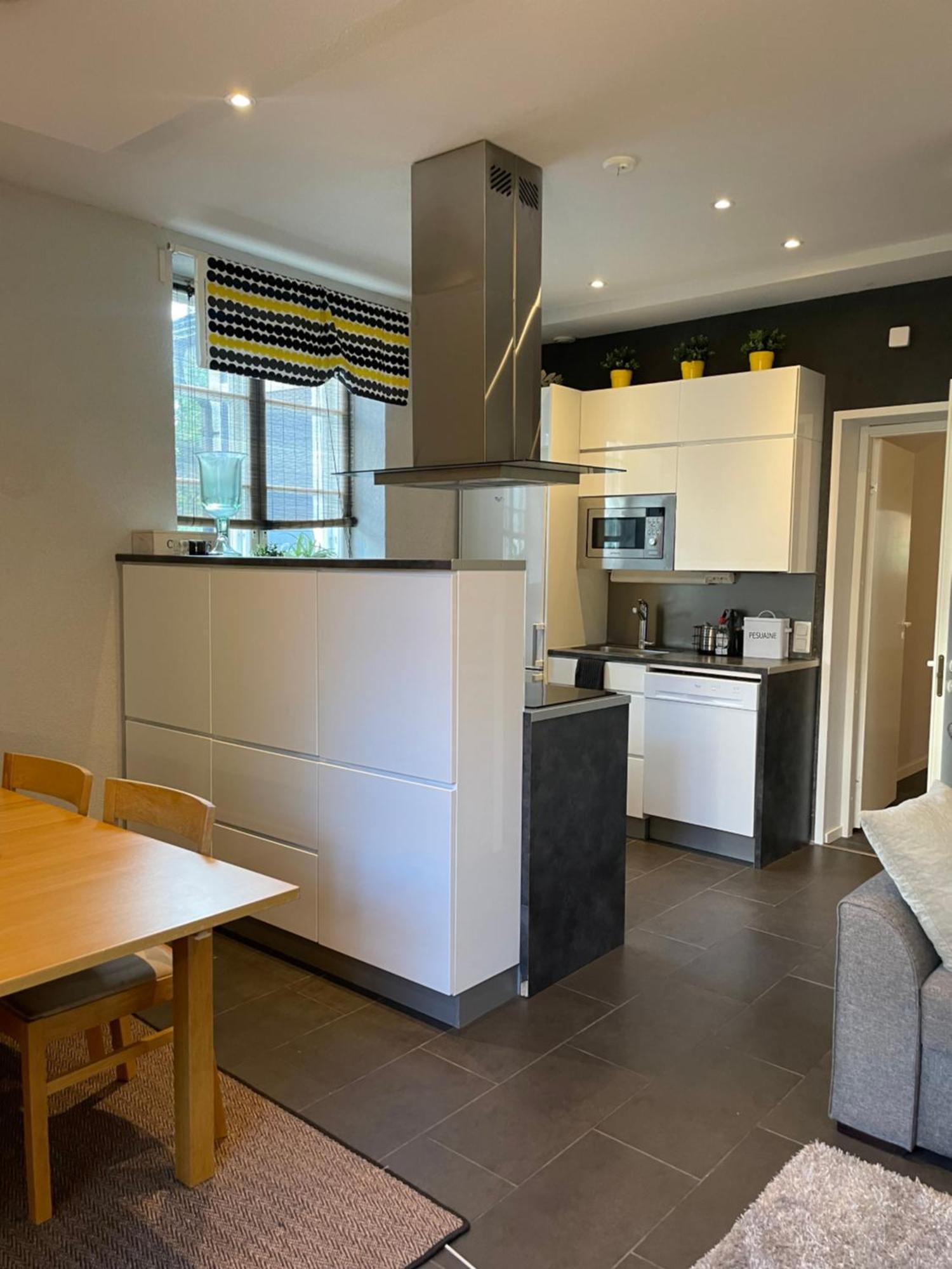 Saeynaetsalo Apartment Saynatsalo エクステリア 写真